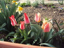 DSC00619