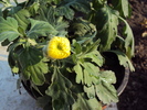 DSC00640