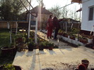 DSC00652