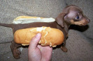 hotdog