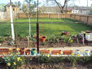 DSC00650
