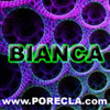 526-BIANCA%20nume%20si%20prenume[1]