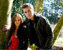 alg_vampire-diaries