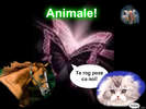 pizap.com90.91855403408408161264522230218