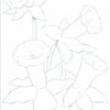 planse_de_colorat_flori-4-150x150