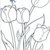 planse_de_colorat_flori-14-150x150