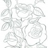 planse_de_colorat_flori-17-150x150