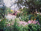 DSCN0036