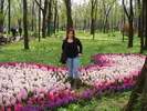 PRINTRE FLORILE PARCULUI
