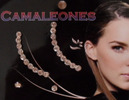 aretesbelindacamaleones