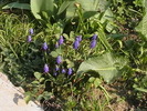 Picture 001