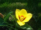 DSC07524