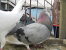 DSCN0226