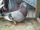 DSCN0228