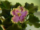 P1240325