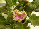 P1240337