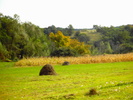 DSC_1028