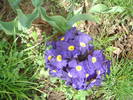 DSC07487