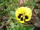 DSC07503