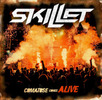 skillet-live_b