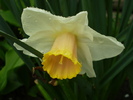P4173366
