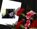 frametoy_20100417065737Nr03