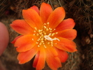DSC07374