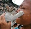 =))=))=)) - 0 Funny cats 0