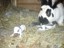 Picture 123