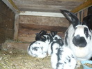 Picture 125