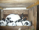 Picture 143