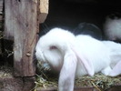 Picture 154