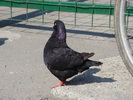 DSC08149