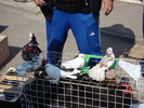DSC08152