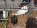 DSC08180