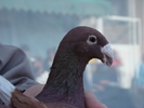 DSC08189
