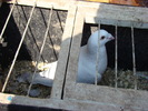 DSC08192