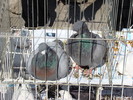 DSC08205