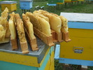 DSCF2264