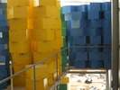 DSCF2208