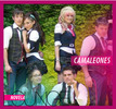 camaleones_belinda