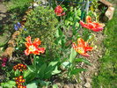 DSC01943