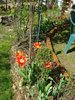 DSC01966