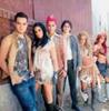 formatia rbd