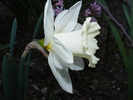 2010_0411(010)