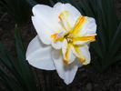 2010_0411(012)