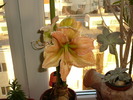 P1050429