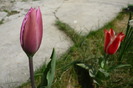 18 aprilie 2010