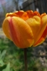 18 aprilie 2010