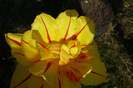 18 aprilie 2010
